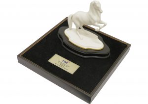 2007-tm-platinum-partner-best-sales-achiever-award